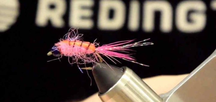 Friday Night Flies - Pink Salmon Nymph