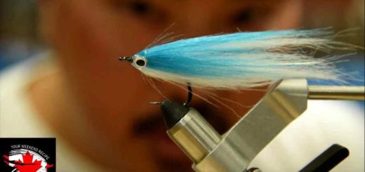 Friday Night Flies - Easy Saltwater Baitfish Fly