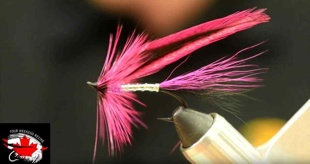 Friday Night Flies - FNF Spruce Fly Variant