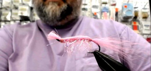 Friday Night Flies - Hit and Run Pink Salmon Fly