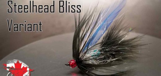 Friday Night Flies - Black & Blue Steelhead Bliss Fly