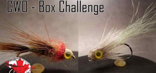 Friday Night Flies - Chinook Wind Outfitters Box Challenge #1