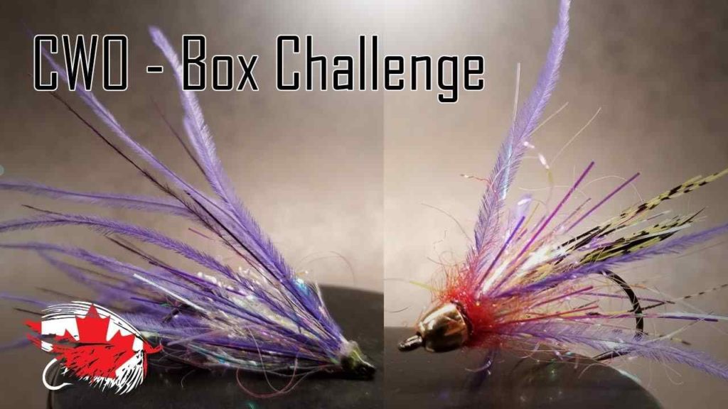 Friday Night Flies - Chinook Wind Outfitters Box Challenge #2