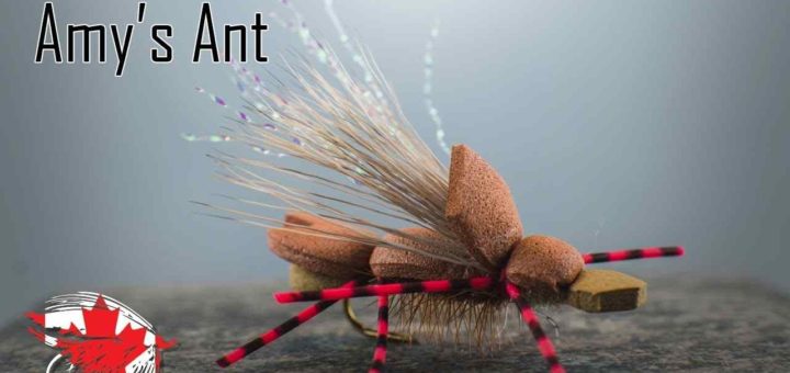 Friday Night Flies - Amy's Ant