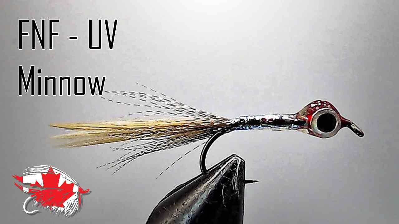 Egg Sack Minnow  Salmon flies, Fly tying, Fly fishing