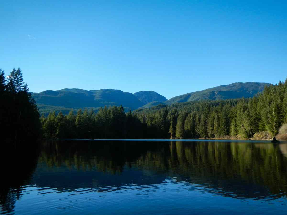 Freshwater fishing in B.C. - Province of British Columbia