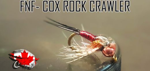 FNF-Cox Rock Crawler