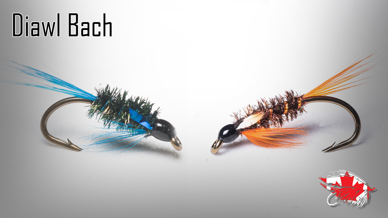 Details about   3 DIAWL BACH Flies COPPER Wire UV Hot Head Nymph Trout FLY Fishing Size 10,12,14 