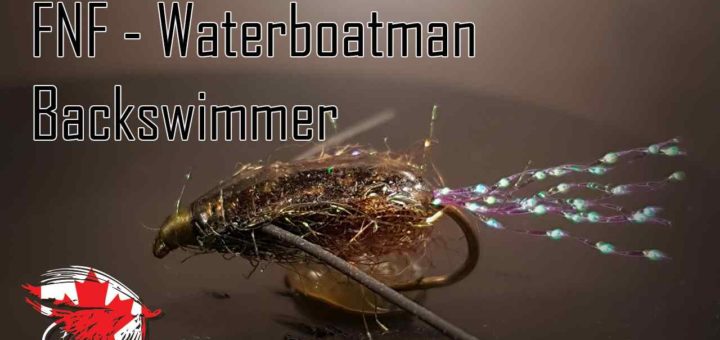 Friday Night Flies - Water Boatman - Backswimmer