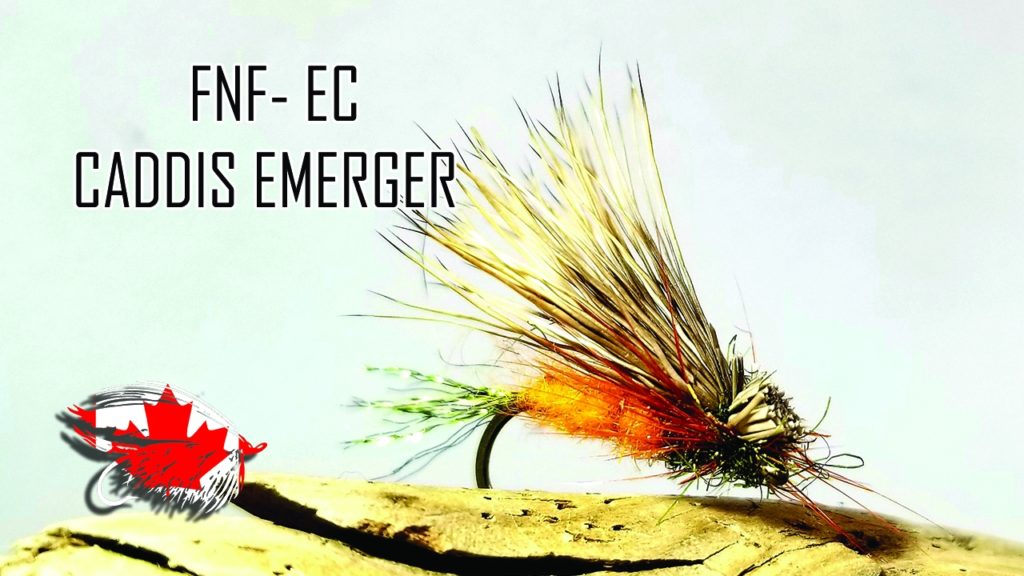 Friday Night Flies - EC Caddis Emerger
