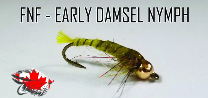 Friday Night Flies - Early Damsel Nymph