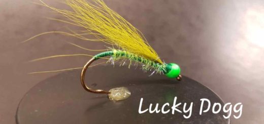 Pemberton Fish Finder - Lucky Dogg