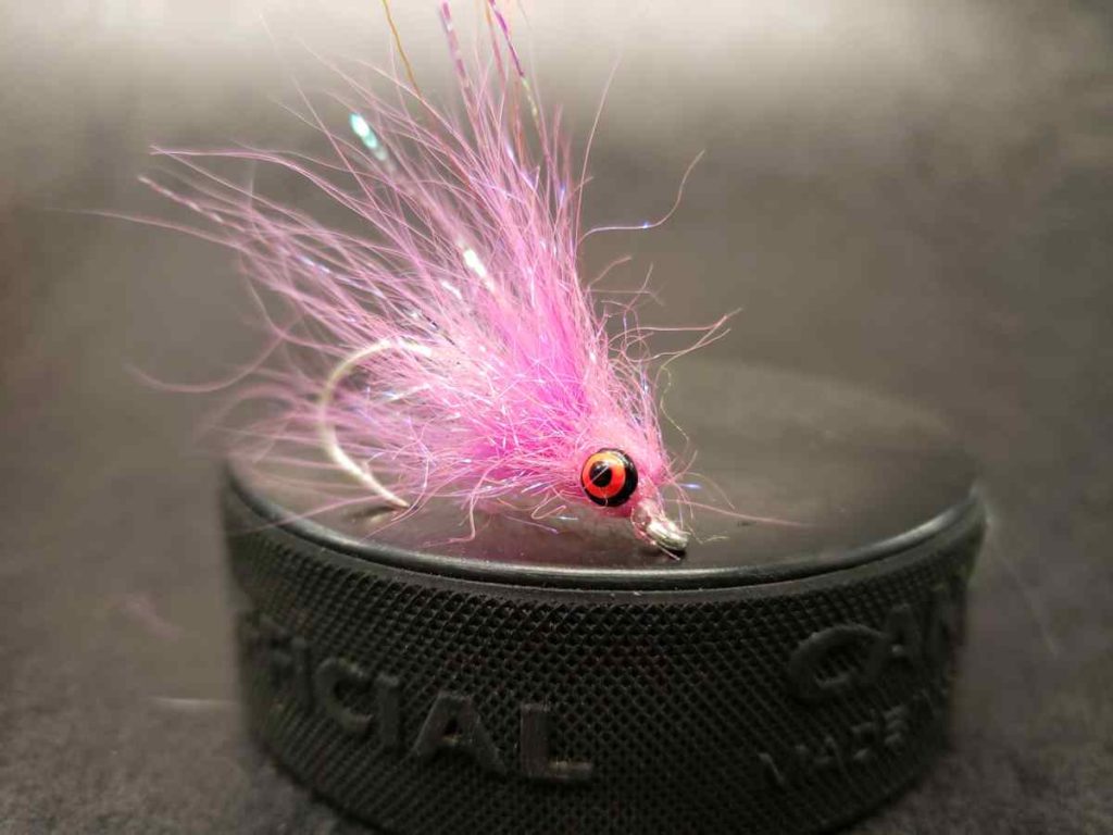 Friday Night Flies - A Pink Salmon Fly