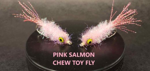 Friday Night Flies - Pink Salmon Chew Toy