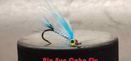 Friday Night Flies - Big Eye Coho Fly
