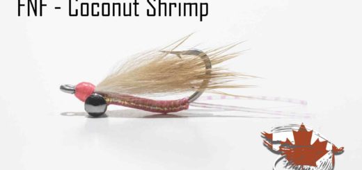 Friday Night Flies - Coconut Shrimp