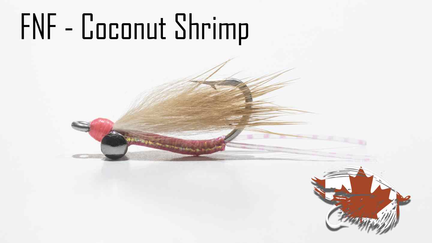 Friday Night Flies - Coconut Shrimp