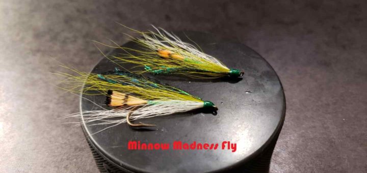 Friday Night Flies - The Minnow Madness Fly