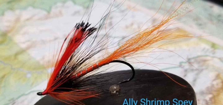 Friday Night Flies - Ally Shrimp Spey