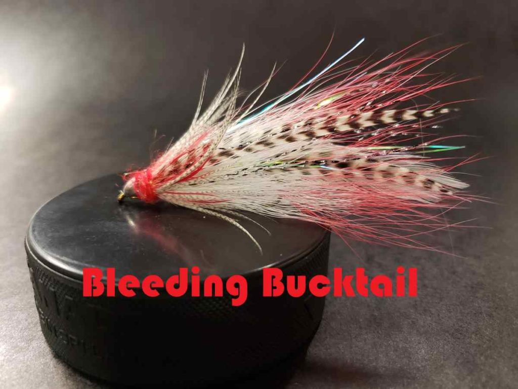 Friday Night Flies - Bleeding Bucktail