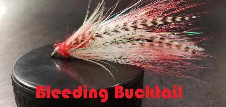 Friday Night Flies - Bleeding Bucktail