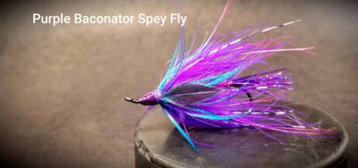 Friday Night Flies - Purple Baconator Spey Fly