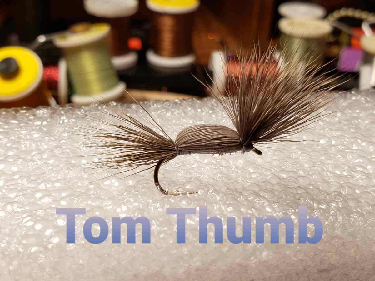 1 Dozen Wet  Fly Tom Thumb Trout 