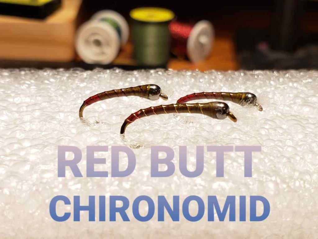 Friday Night Flies - Red Butt Chironomid