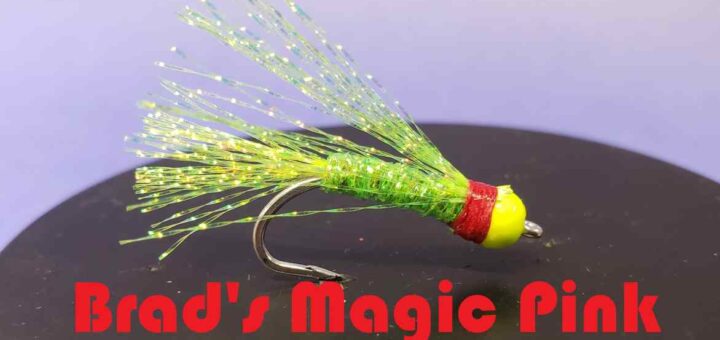 Friday Night Flies - Brad's Magic Pink Salmon Fly Variant