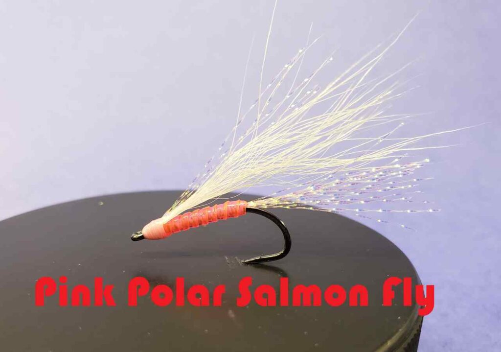 Friday Night Flies - Pink Polar Salmon Fly
